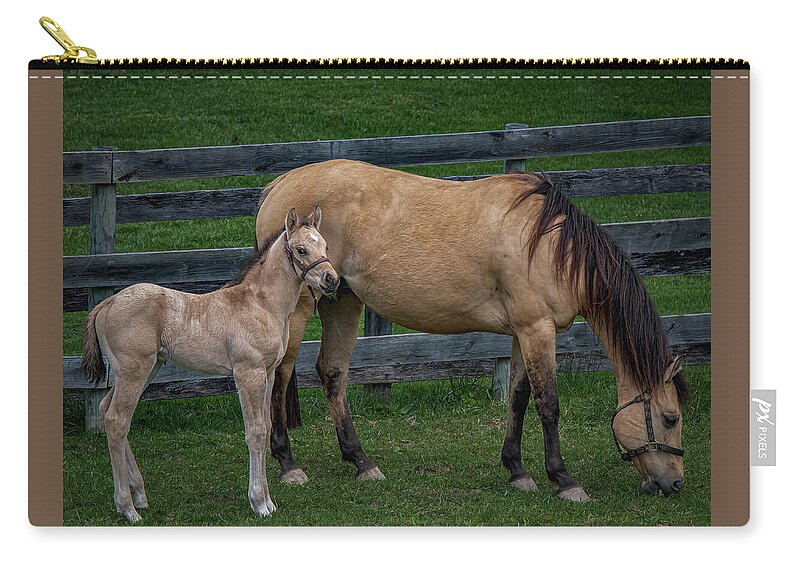 Animal Zip Pouch featuring the photograph Mare and foal by Brian Shoemaker
