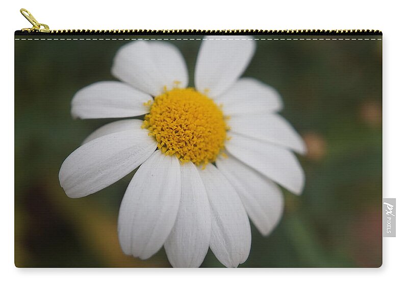 Macro Zip Pouch featuring the photograph Marguerite. MacFlower. by Elena Perelman