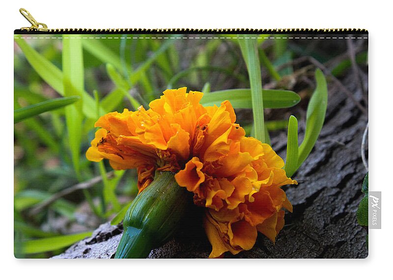 Marigold Zip Pouch featuring the photograph Marigold on a Tree Root by W Craig Photography