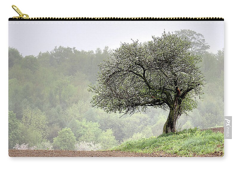 Trees Carry-all Pouch featuring the photograph Marilla Tree by Don Nieman