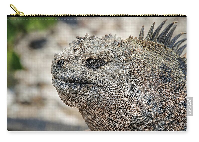 Ecuador Carry-all Pouch featuring the photograph Marine Iguana close-up by Henri Leduc