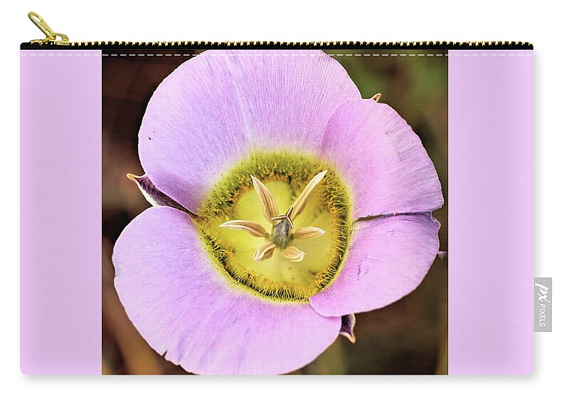 Flower Zip Pouch featuring the photograph Mariposa Lily by Bob Falcone
