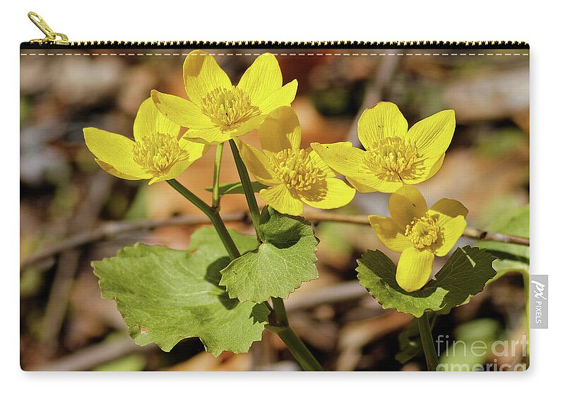 Marigold Zip Pouch featuring the photograph Marsh Marigold by Natural Focal Point Photography