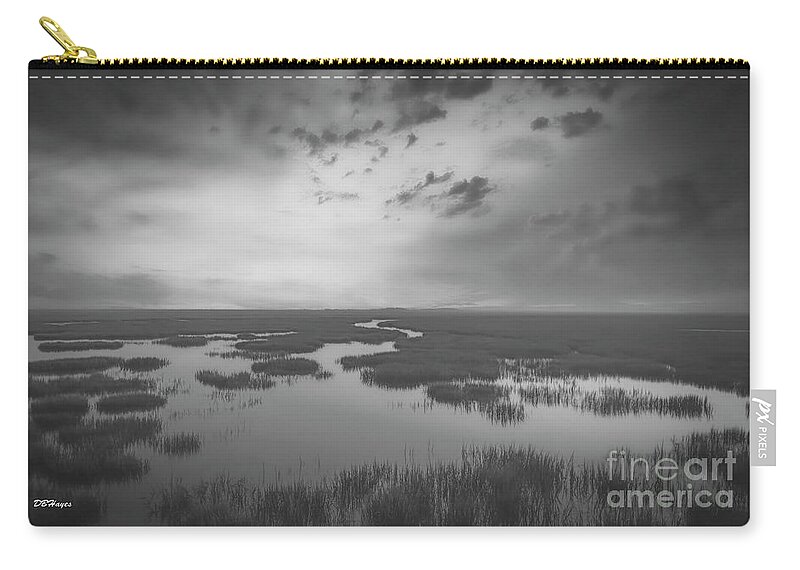 Landscapes Zip Pouch featuring the photograph Marshes of Glynn 2 by DB Hayes