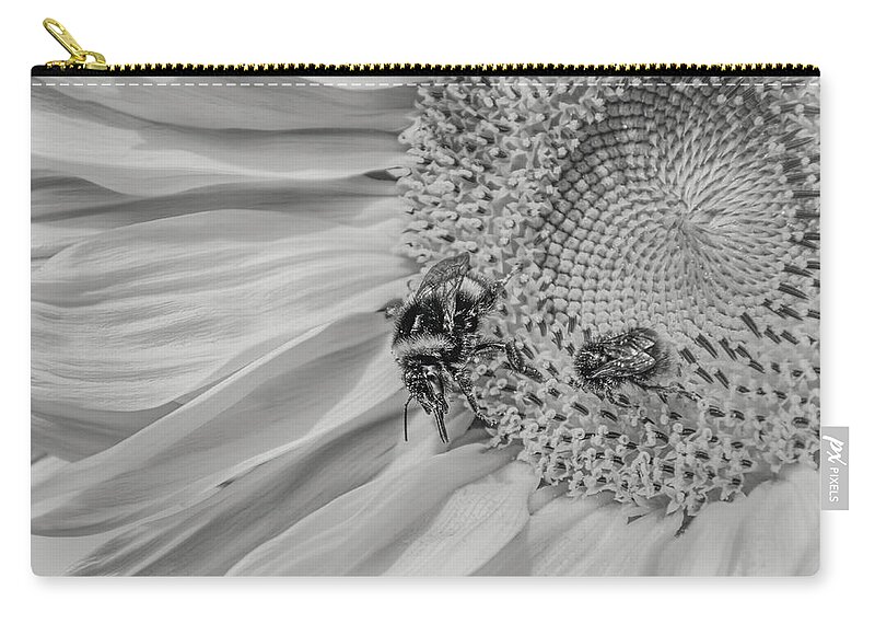 Sunflower Zip Pouch featuring the photograph Meadow life 5 by Jaroslav Buna