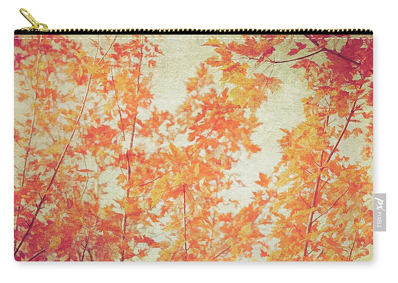Fall Zip Pouch featuring the photograph Michigan Maples by Kathi Mirto