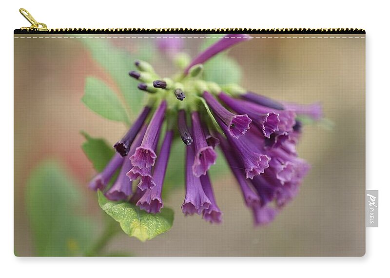 Trumpet Flower Carry-all Pouch featuring the photograph Mini Trumpet Flowers by Mingming Jiang