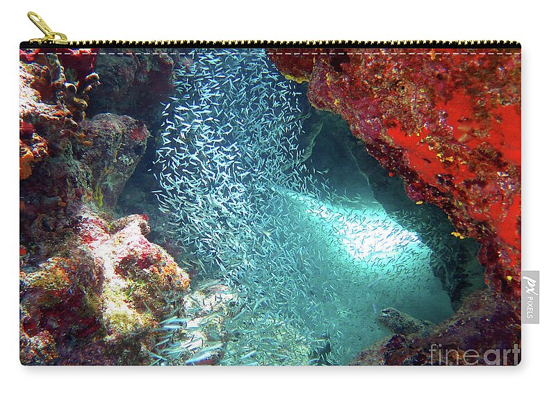 Underwater Zip Pouch featuring the photograph Minnows at Banana Patch 1 by Daryl Duda