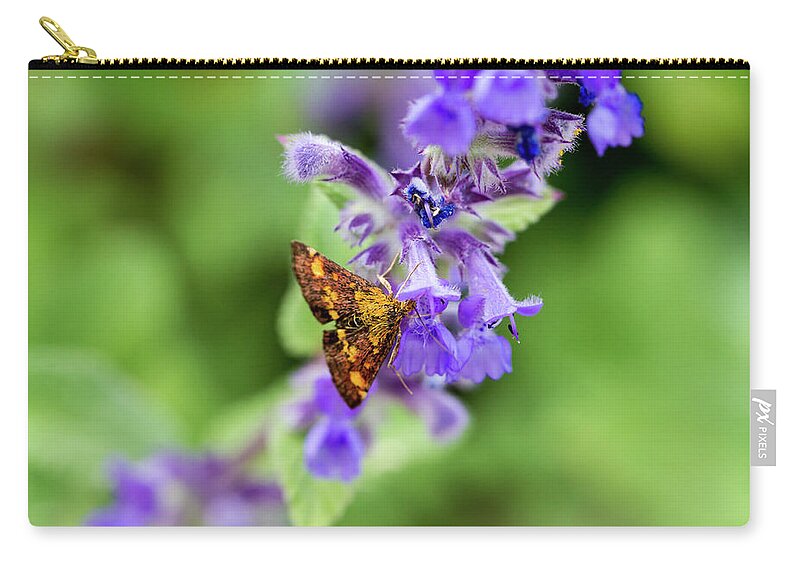 Moth Zip Pouch featuring the photograph Mint Moth by Tanya C Smith