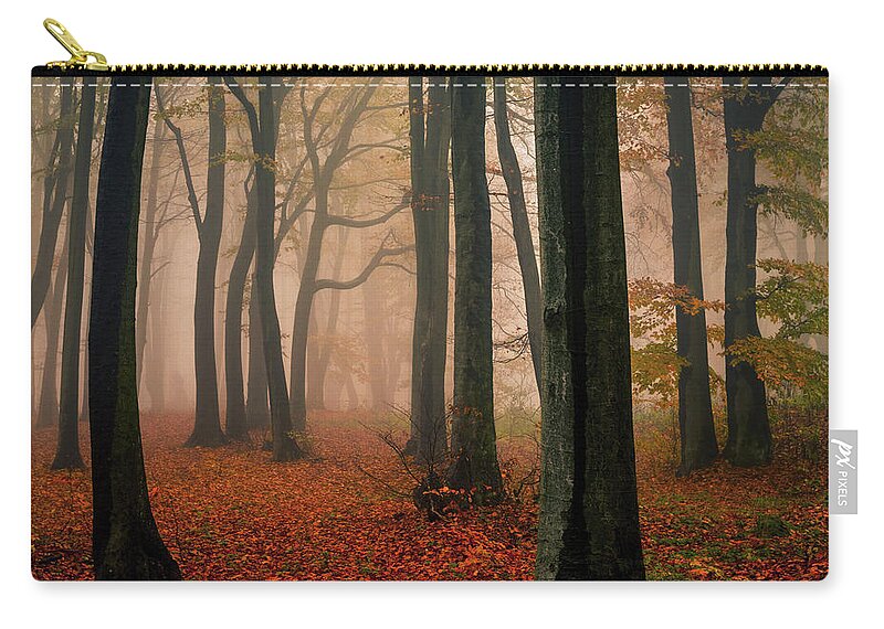 Balkan Mountains Carry-all Pouch featuring the photograph Misty Autumn Forest by Evgeni Dinev