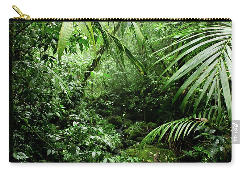 Rainforest Zip Pouch featuring the photograph Misty Rainforest Creek by Nicklas Gustafsson