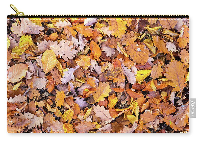 Autumn Carry-all Pouch featuring the photograph Mixture of leaves fallen in forest in autumn fall by Viktor Wallon-Hars