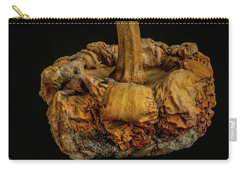 Rotten Zip Pouch featuring the photograph Moldy Gourd by Paul Freidlund