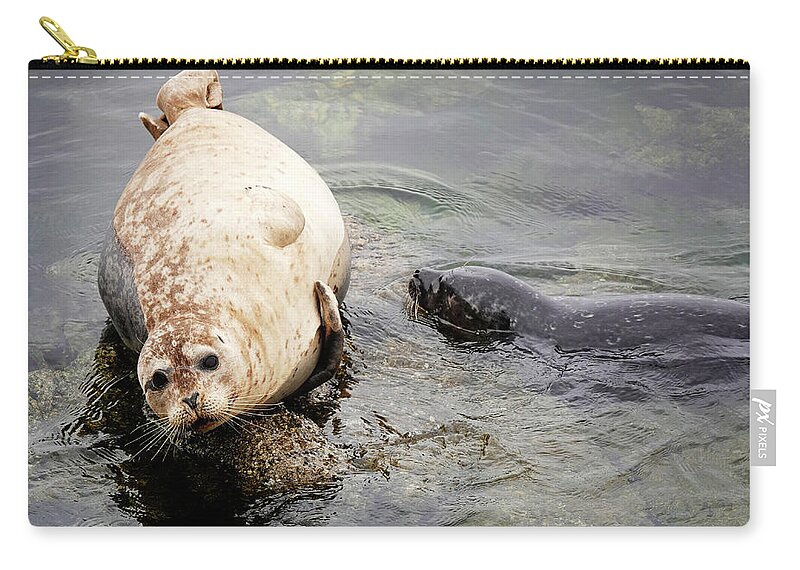 Mom Zip Pouch featuring the photograph Mom and Pup Seals by Marilyn Hunt