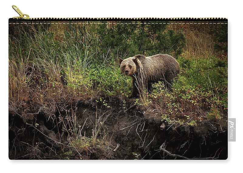 Landscape Carry-all Pouch featuring the photograph Moma Bear on North Fork by Craig J Satterlee