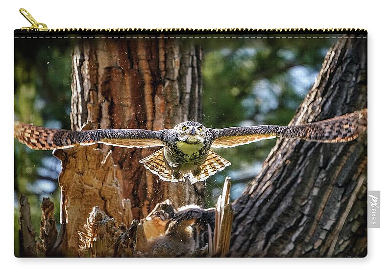 Great Horned Owls Zip Pouch featuring the photograph Momma Great Horned Owl Blasting out of the Nest by Judi Dressler