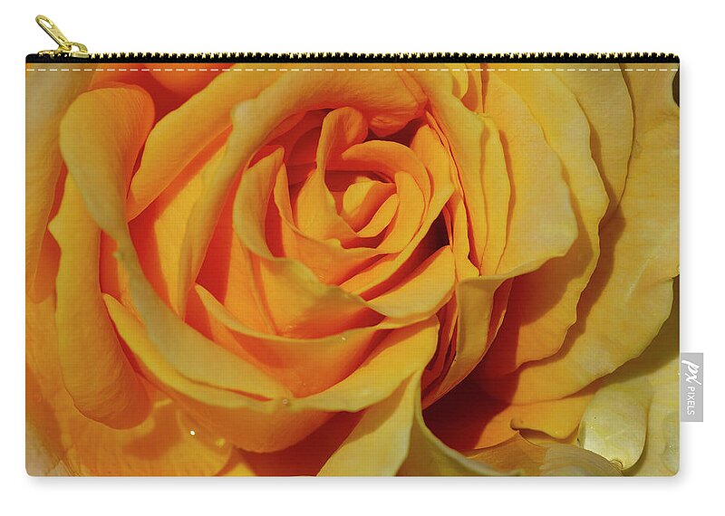 Yellow Zip Pouch featuring the photograph Moms Rose 28x28 by Gary Langley