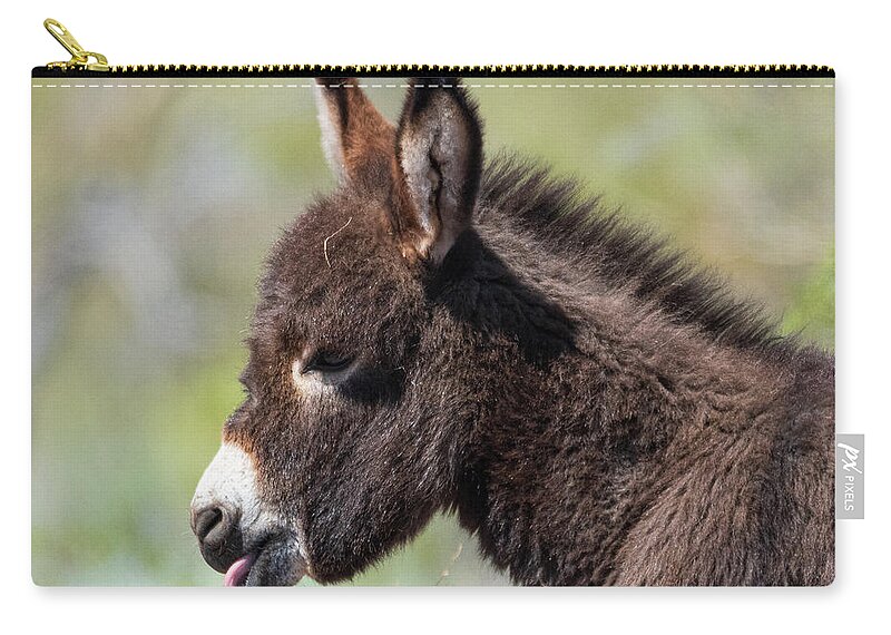 Wild Burros Zip Pouch featuring the photograph Monday Face by Mary Hone