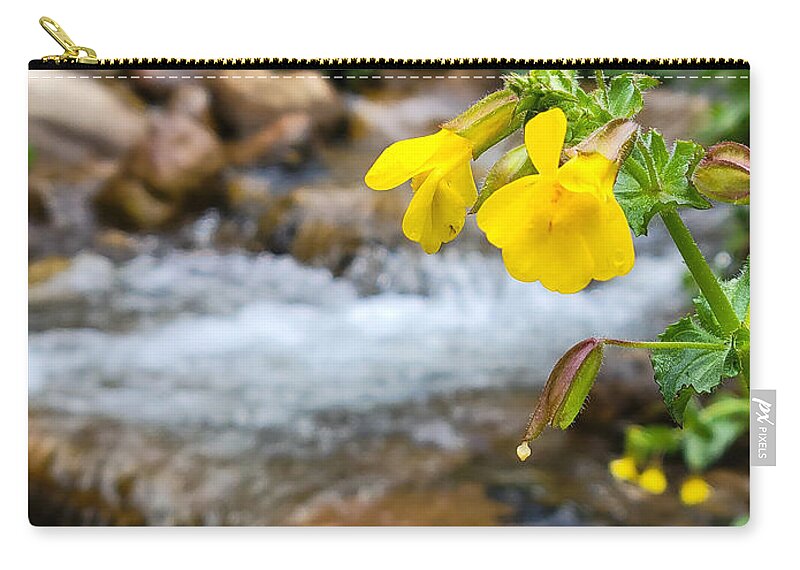 Monkey Flower Zip Pouch featuring the photograph Monkey Flower by Canyon Creek by Bonny Puckett