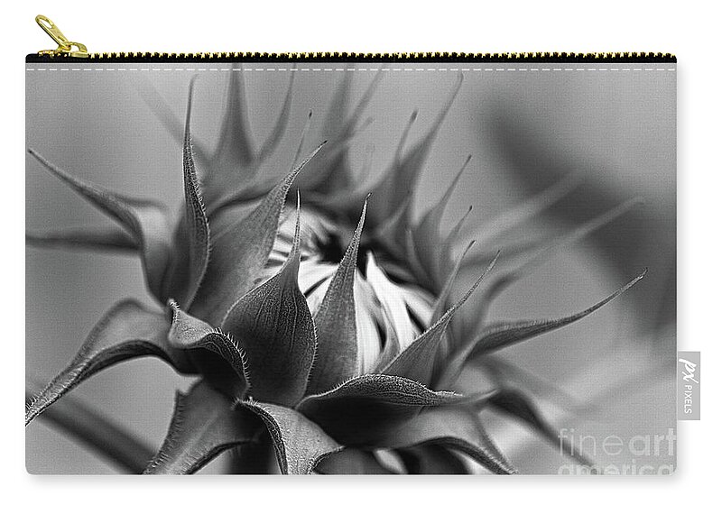 Monochrome Zip Pouch featuring the photograph Monochrome 564 by Fine art photographer Julie