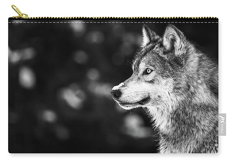 Gray Wolf Zip Pouch featuring the photograph Monochrome Wolf by Max Waugh