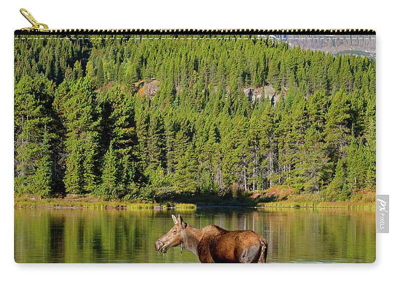 Glacier National Park Zip Pouch featuring the photograph Moose and Swiftcurrent Mountain by Jack Bell
