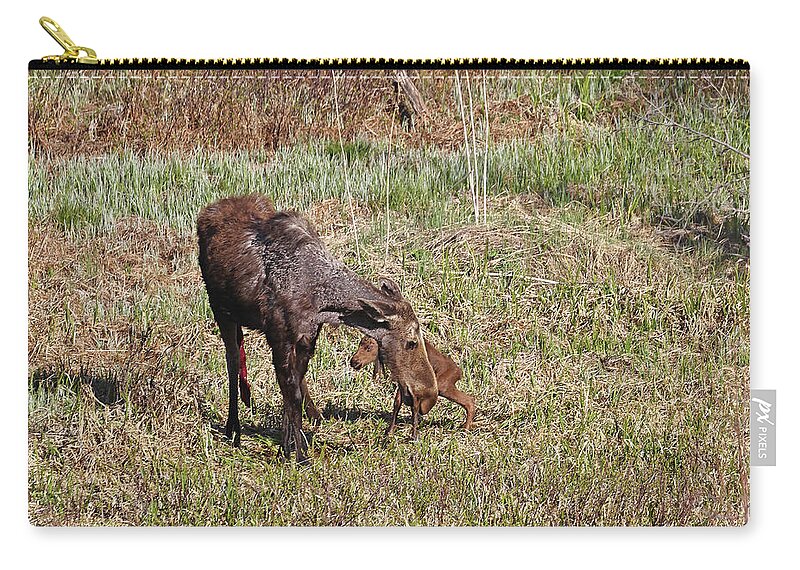 Moose Zip Pouch featuring the photograph Moose Cow and Calf 2 by Jean Clark