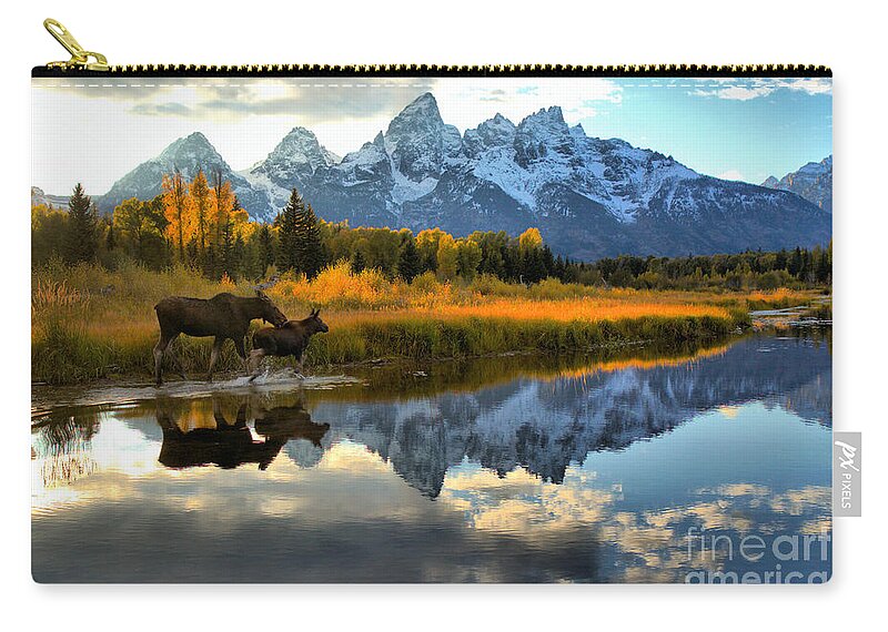 Grand Zip Pouch featuring the photograph Moose Cow And Calf Evening Teton Stroll by Adam Jewell