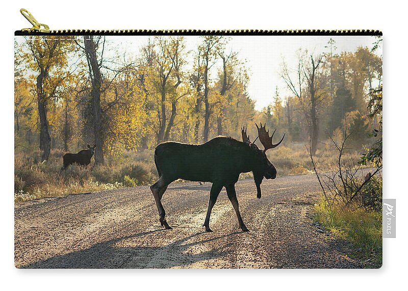 Moose Carry-all Pouch featuring the photograph Moose in the Road by Wesley Aston