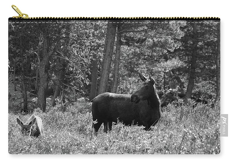 Photography Zip Pouch featuring the photograph Moose - Keeping Watch, Northern Colorado by Richard Porter