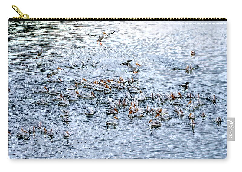 Morning Arrivals Joining The Flock Zip Pouch featuring the photograph Morning Arrivals Joining the Flock by Debra Martz