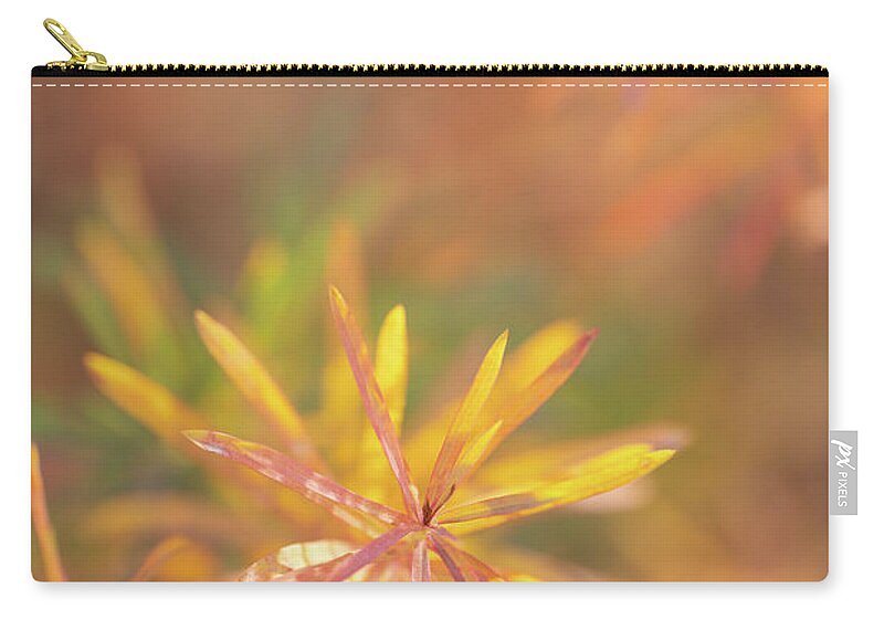 Macro Zip Pouch featuring the photograph Morning Fresh by Darren White