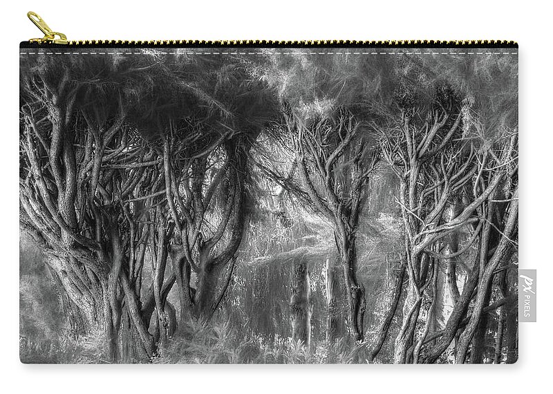 California Zip Pouch featuring the photograph Morning Light in the Bay Forest by Wayne King
