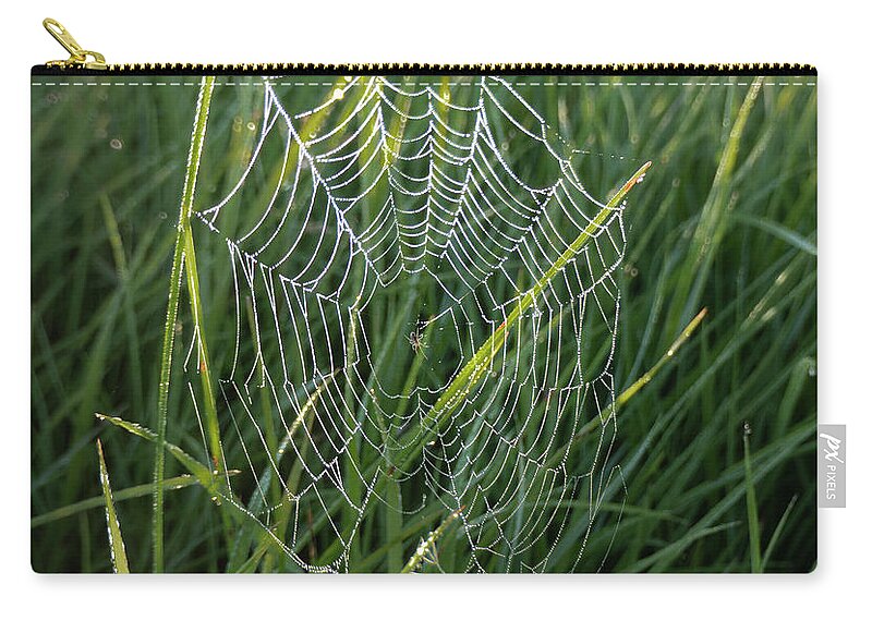 Spider Carry-all Pouch featuring the photograph Morning Spider Web by Karen Rispin