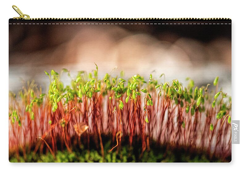Macro Zip Pouch featuring the photograph Mossy Forest by Pamela Dunn-Parrish