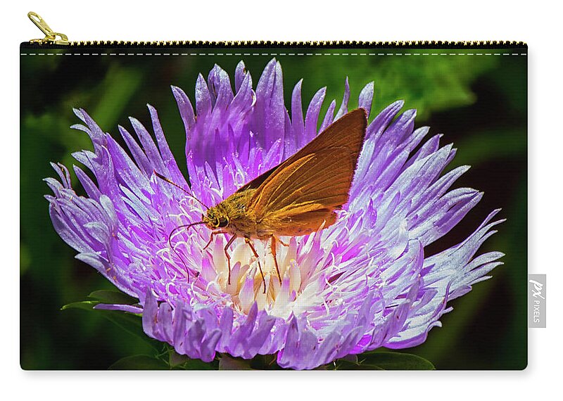 Blooming Zip Pouch featuring the photograph Moth on flower center by Charles Floyd