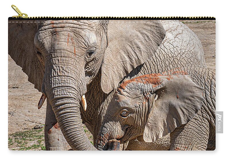 Animals Zip Pouch featuring the photograph Mother and Daughter Lunch by David Levin