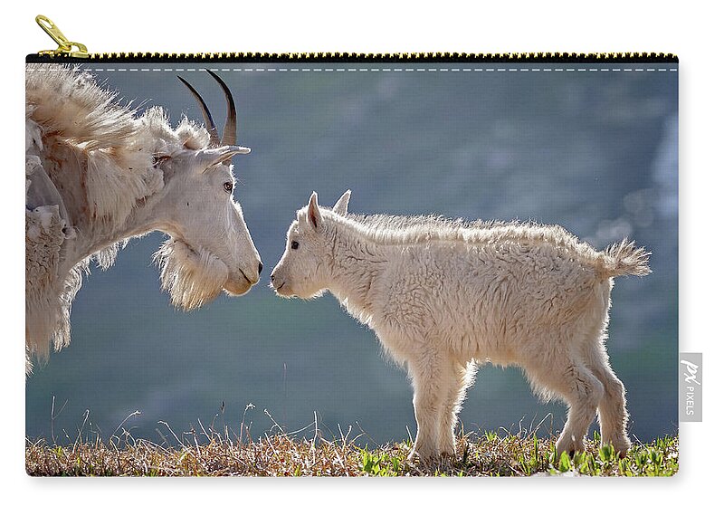 Mountain Goats Zip Pouch featuring the photograph Mother Child Reunion by Jack Bell