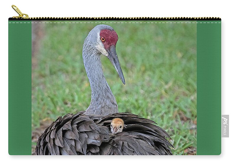 Sandhill Crane Zip Pouch featuring the digital art MOTHER SANDHILL CRANE AND CHICK cps by Larry Linton