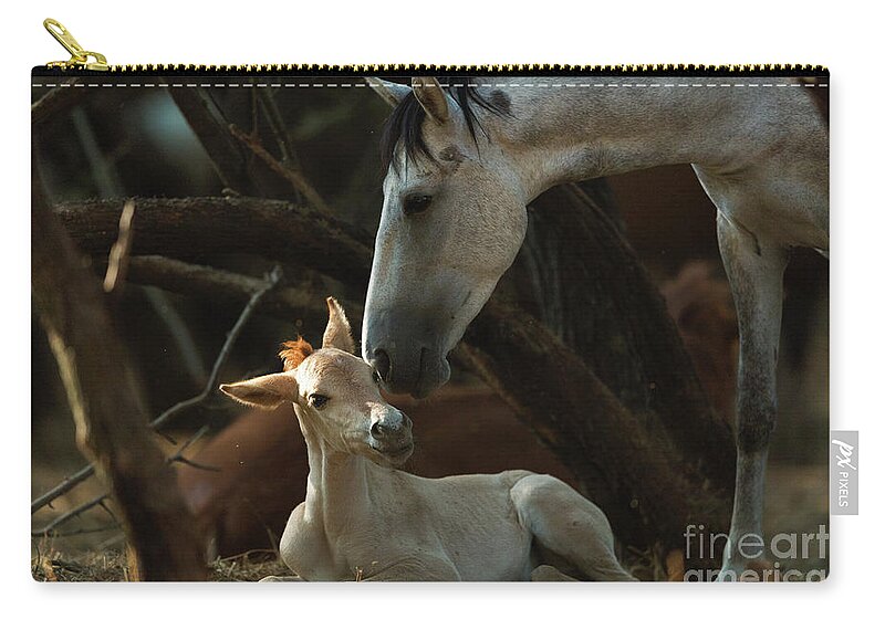 Cute Foal Zip Pouch featuring the photograph Mother's Love by Shannon Hastings