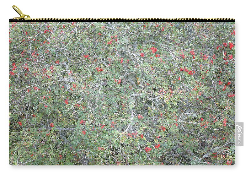 Autumn Zip Pouch featuring the photograph Mountain Ash with bright red berries in early autumn by Anita Nicholson