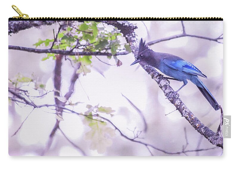 Nature Zip Pouch featuring the photograph Mountain Blue Jay by Sally Bauer