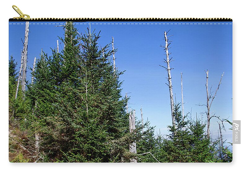 Balsam Woolly Adelgid Carry-all Pouch featuring the photograph Mountain Pines by Phil Perkins