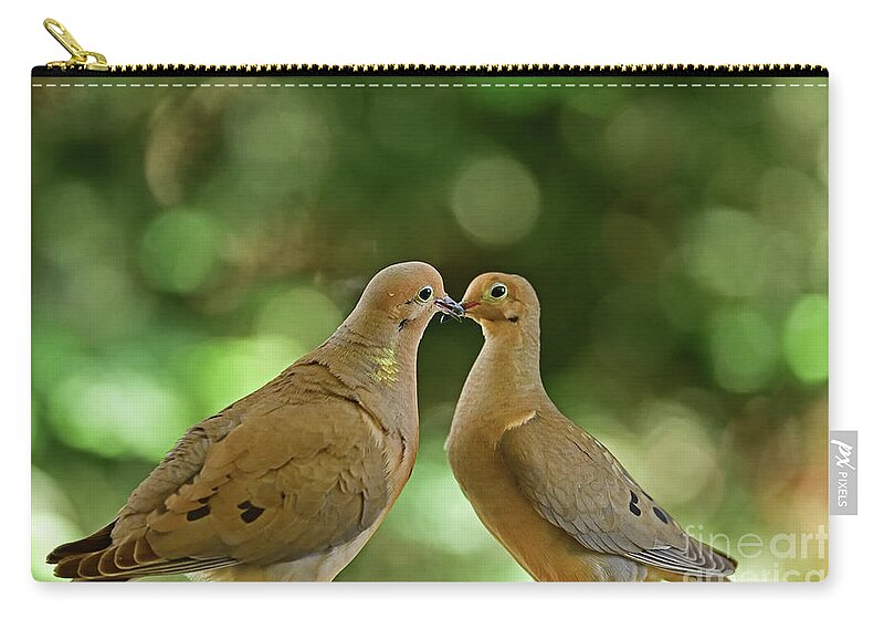 Mourning Dove Zip Pouch featuring the photograph Mourning Dove Exchanging Some Kisses by Amazing Action Photo Video