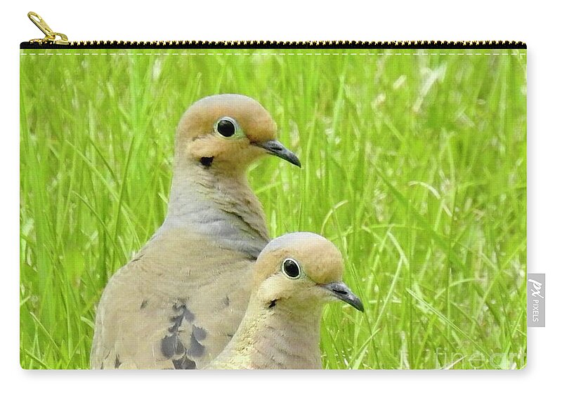Mourning Doves. Cariboo Birds. Zip Pouch featuring the photograph Mourning Doves by Nicola Finch
