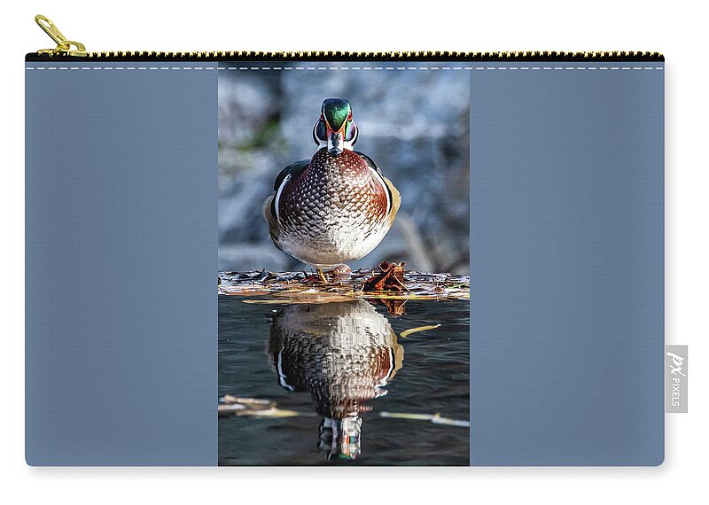 Wood Zip Pouch featuring the photograph Mr. Woody by Brian Shoemaker