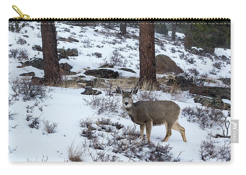 Colorado Zip Pouch featuring the photograph Mule Deer - 8922 by Jerry Owens