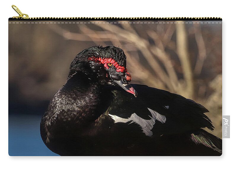 Duck Carry-all Pouch featuring the photograph Muscovy Duck Stare by Ron Grafe