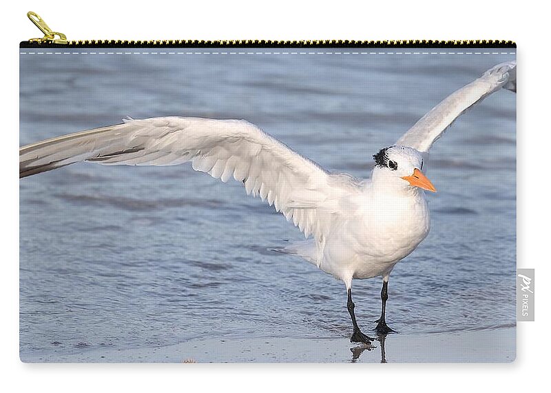 Royal Terns Carry-all Pouch featuring the photograph Muscular Wings 2 by Mingming Jiang