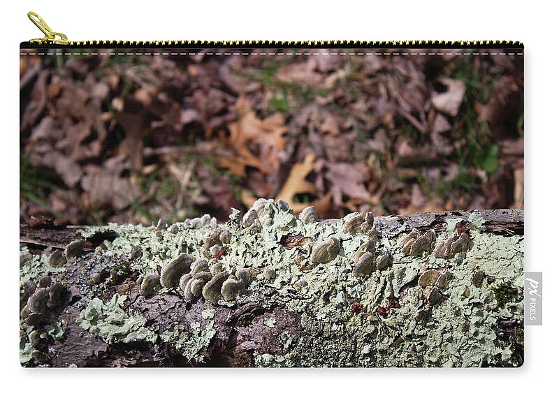 Forest Zip Pouch featuring the photograph Mushroom Log by Geoff Jewett